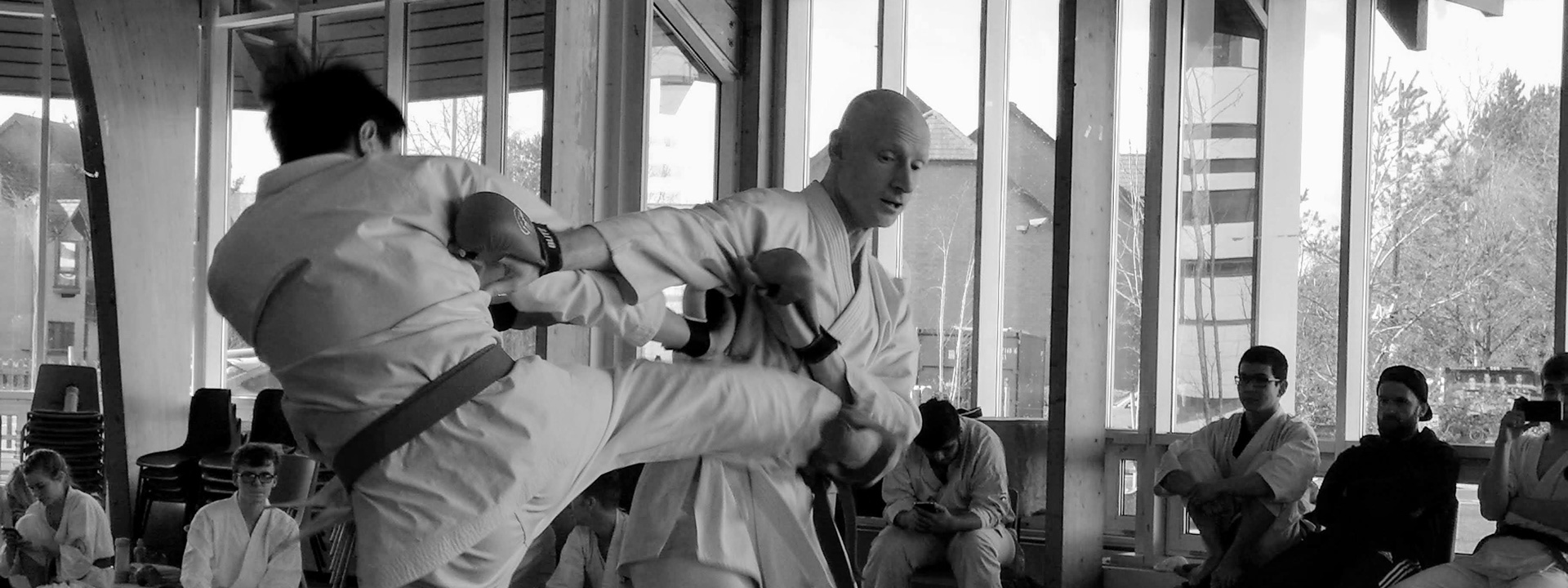 Karate Champions