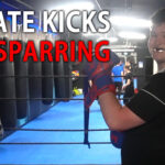 Karate Kicks
