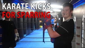 Karate Kicks